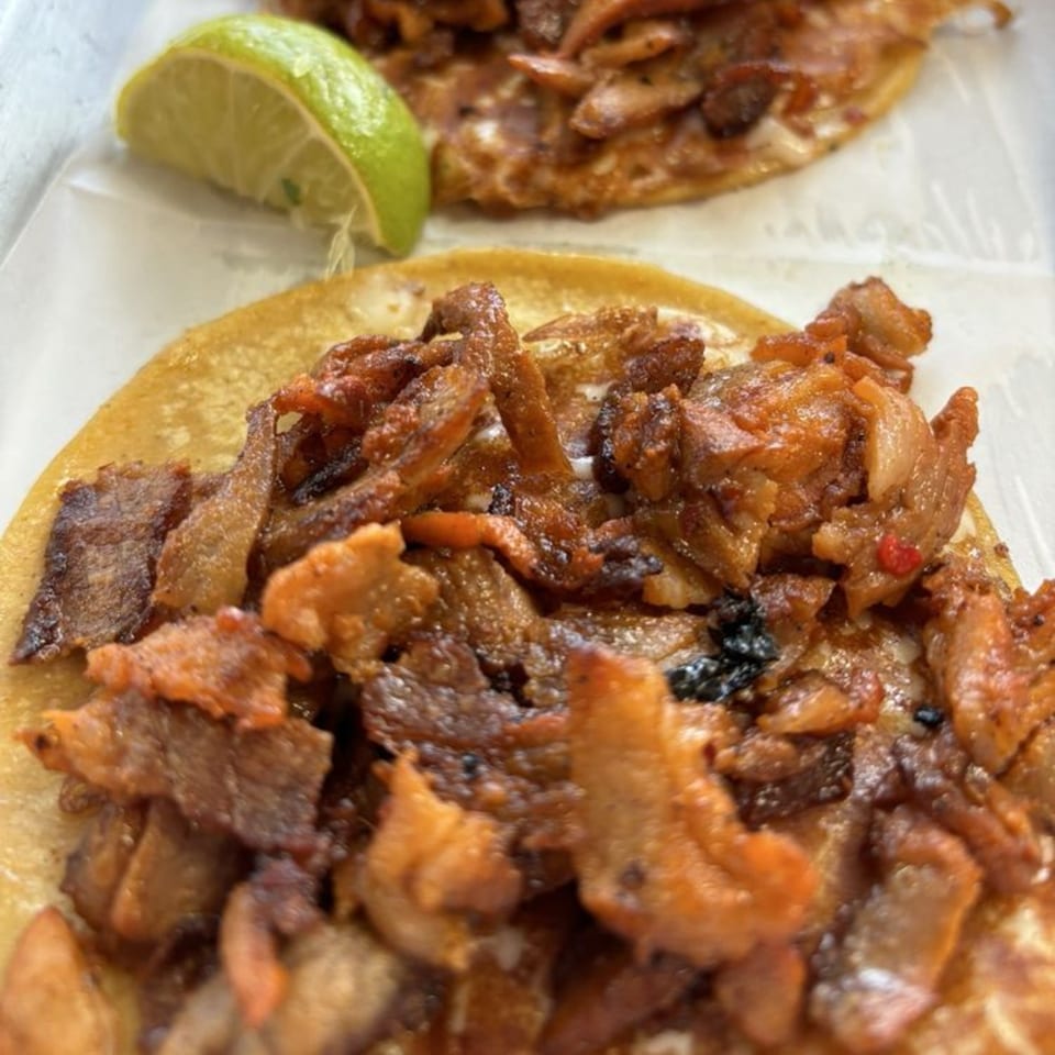Close-up of two Holy Taco al pastor tacos with a lime wedge on the side.